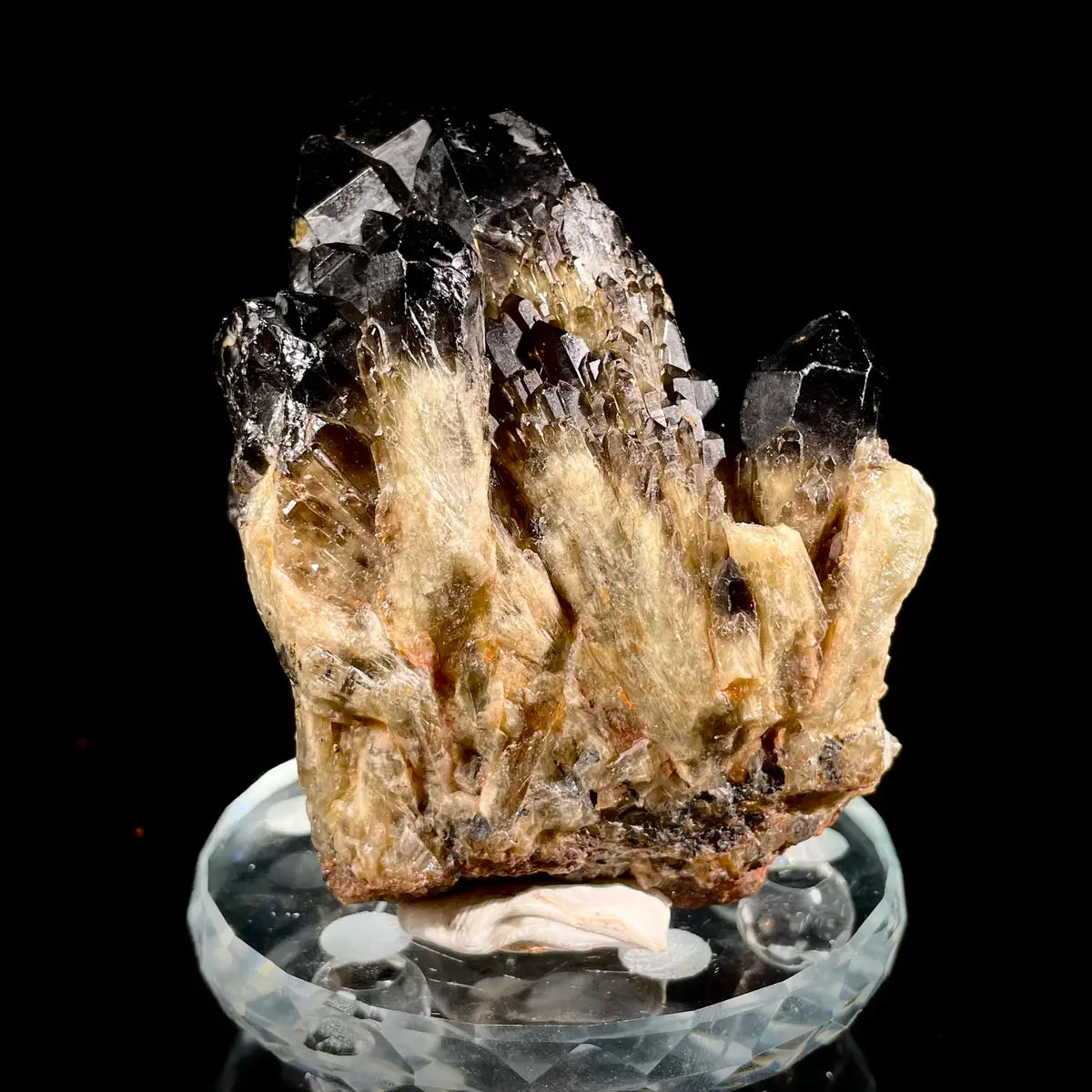 Natural Black Quartz Crystal Specimen | 460 g | 9*10*5 cm | Quartz Minerals | Brazil/Madagascar