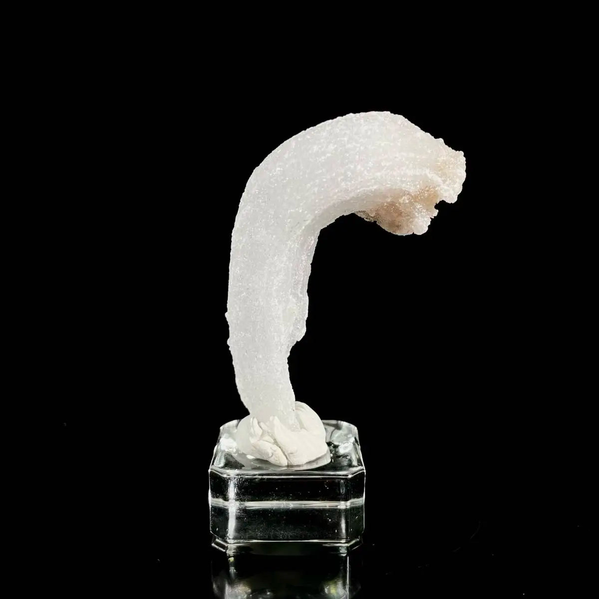 Natural Ram’s Horn Selenite Specimen | Guizhou, China | 40 g | 8*3.5*2 cm | Sulfate Minerals
