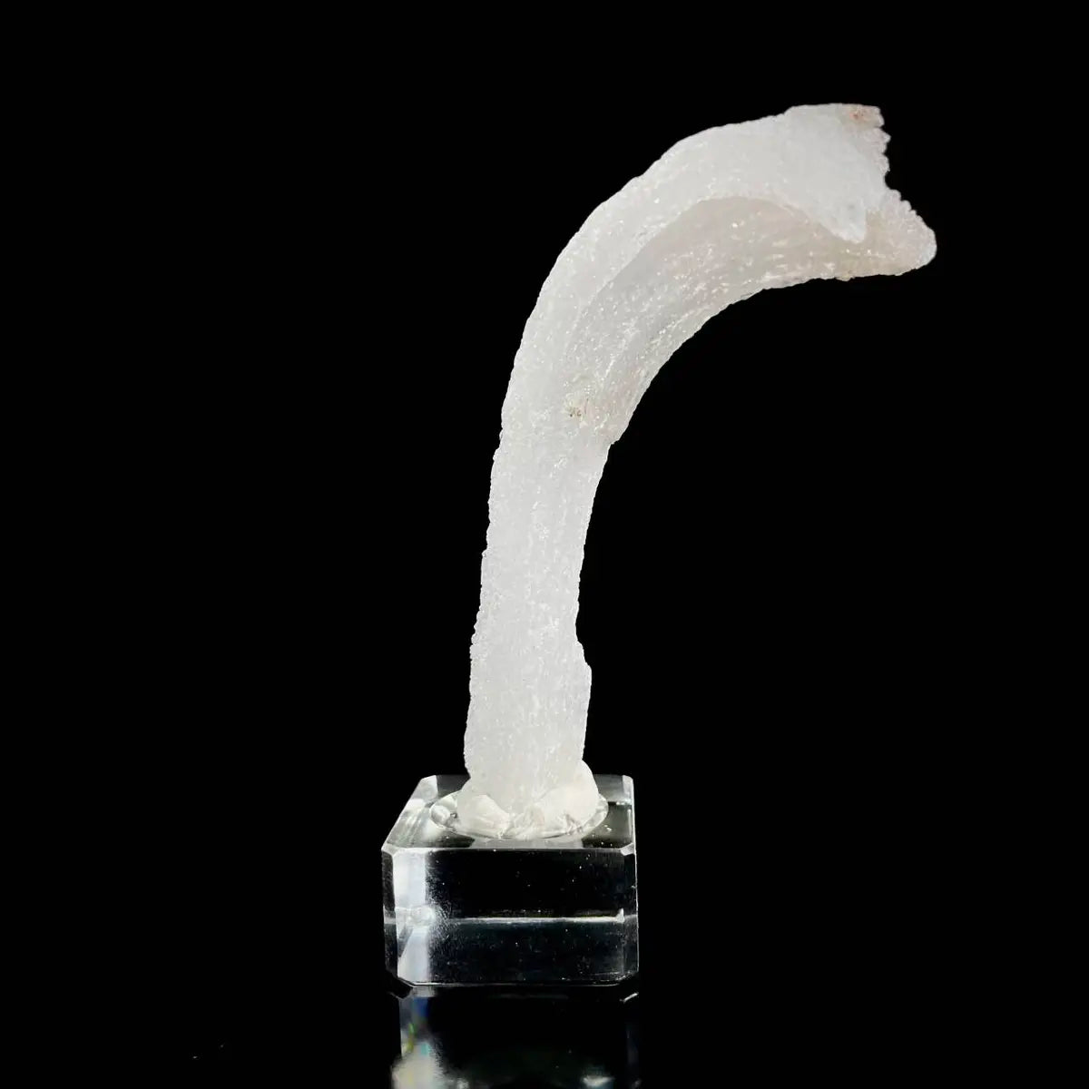 Natural Ram’s Horn Selenite Specimen | Guizhou, China | 40 g | 11.5*2*1 cm | Sulfate Minerals