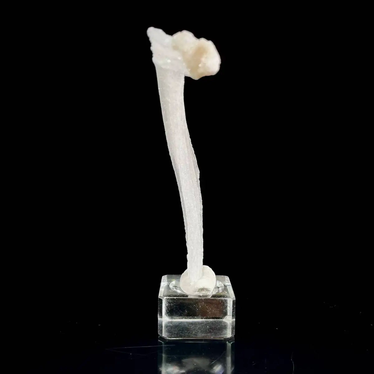 Natural Ram’s Horn Selenite Specimen | Guizhou, China | 40 g | 13.5*2*1 cm | Sulfate Minerals