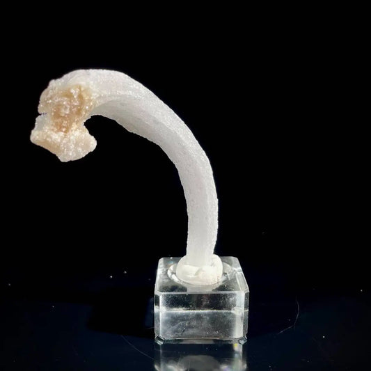 Natural Ram’s Horn Selenite Specimen | Guizhou, China | 40 g | 10*2*1 cm | Sulfate Minerals