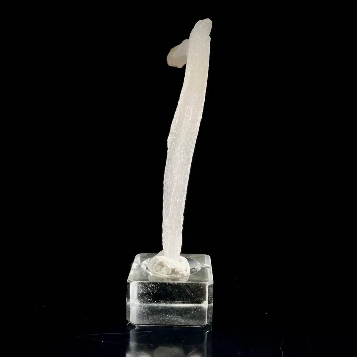 Natural Ram’s Horn Selenite Specimen | Guizhou, China | 40 g | 13.5*2*1 cm | Sulfate Minerals