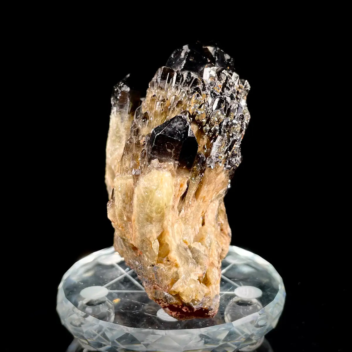 Natural Black Quartz Crystal Specimen | 460 g | 9*10*5 cm | Quartz Minerals | Brazil/Madagascar