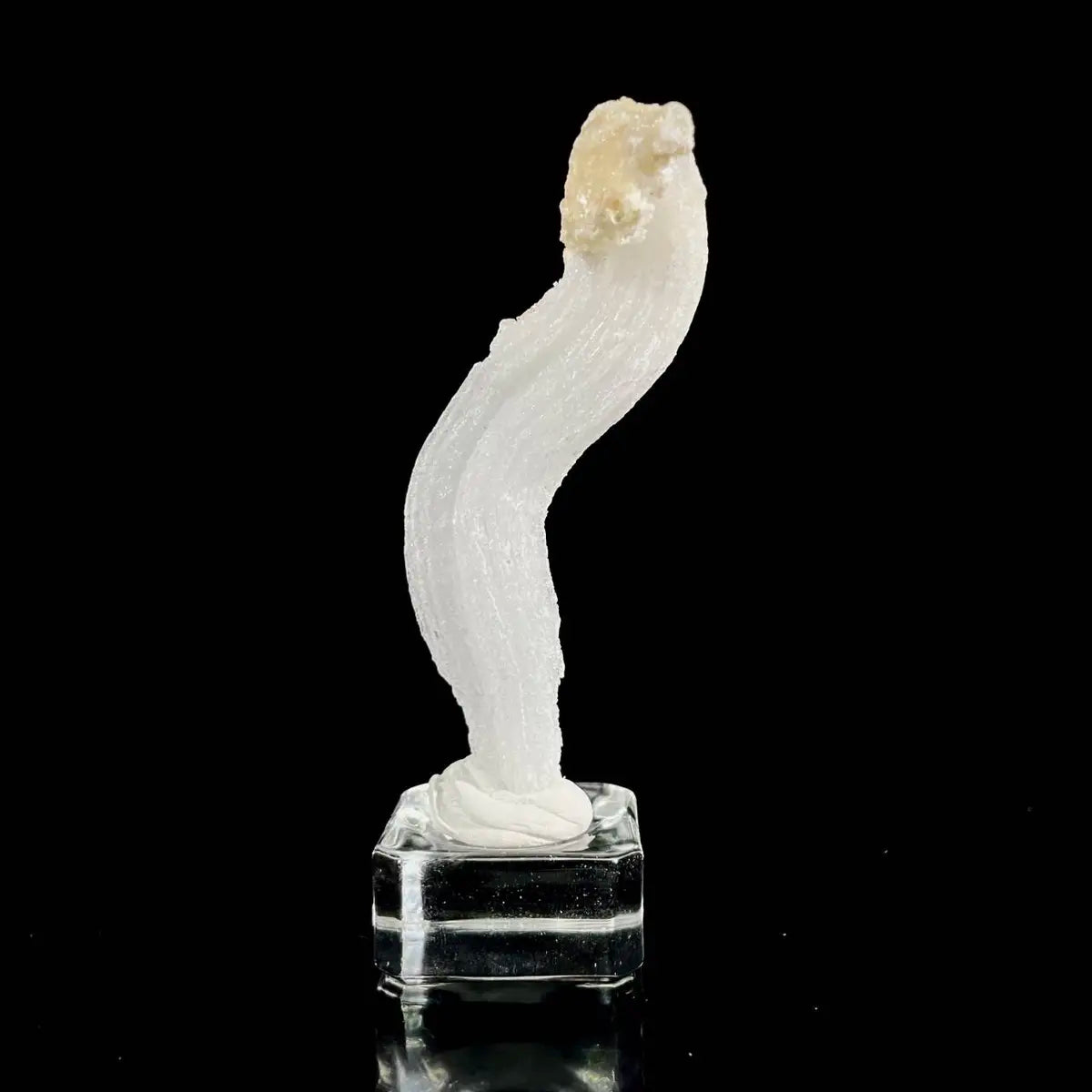 Natural Ram’s Horn Selenite Specimen | Guizhou, China | 40 g | 10*2*1.5 cm | Sulfate Minerals