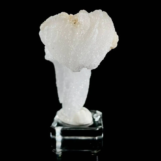 Natural Ram’s Horn Selenite Specimen | Guizhou, China | 60 g | 8.5*2.5*1.5 cm | Sulfate Minerals