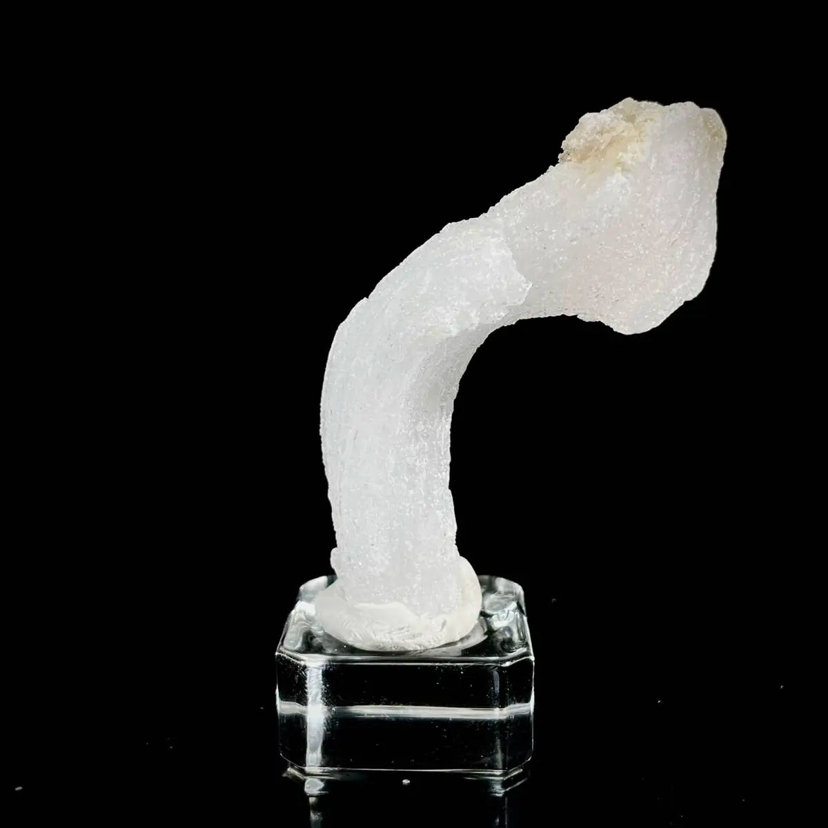 Natural Ram’s Horn Selenite Specimen | Guizhou, China | 60 g | 8.5*2.5*1.5 cm | Sulfate Minerals