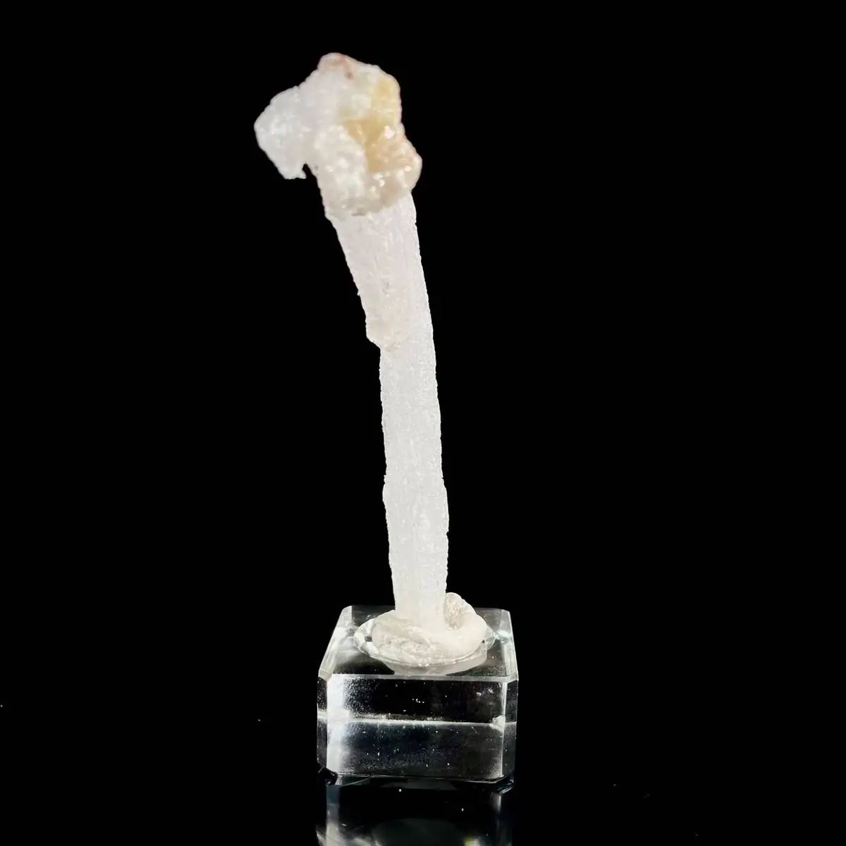 Natural Ram’s Horn Selenite Specimen | Guizhou, China | 40 g | 11.5*2*1 cm | Sulfate Minerals