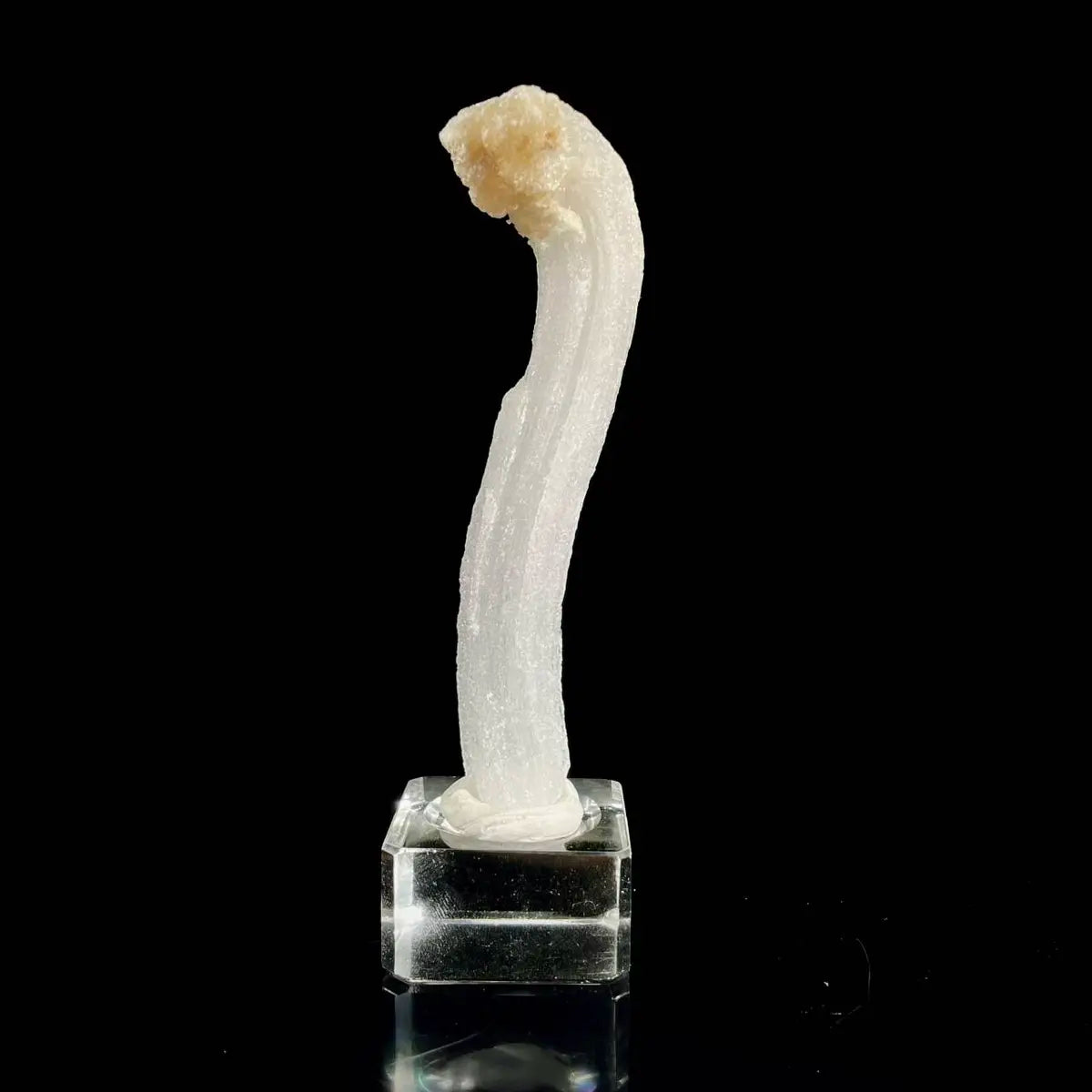Natural Ram’s Horn Selenite Specimen | Guizhou, China | 30 g | 11*2.5*1 cm | Sulfate Minerals
