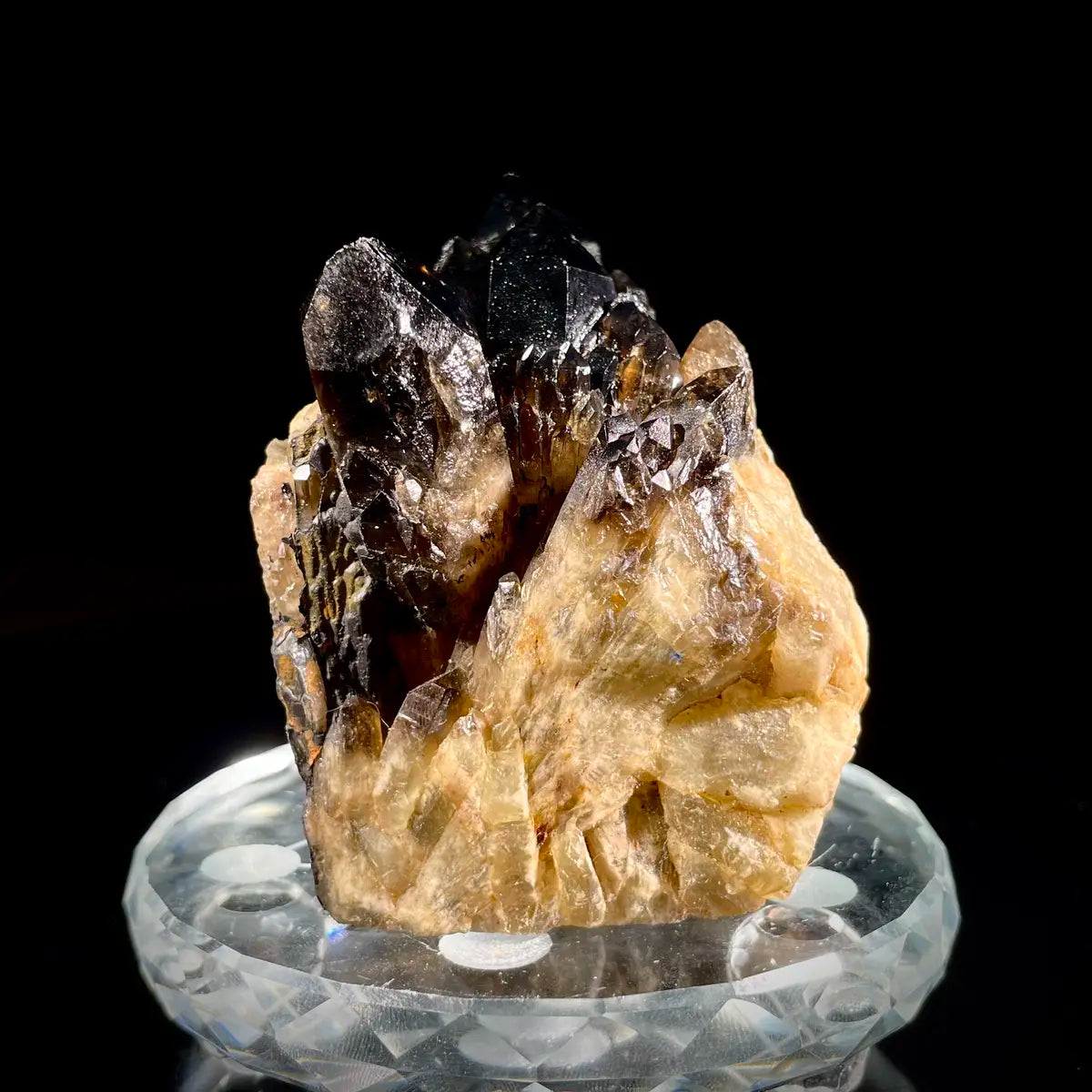 Natural Black Quartz Crystal Specimen | 360 g | 8*6*5 cm | Quartz Minerals | Brazil/Madagascar