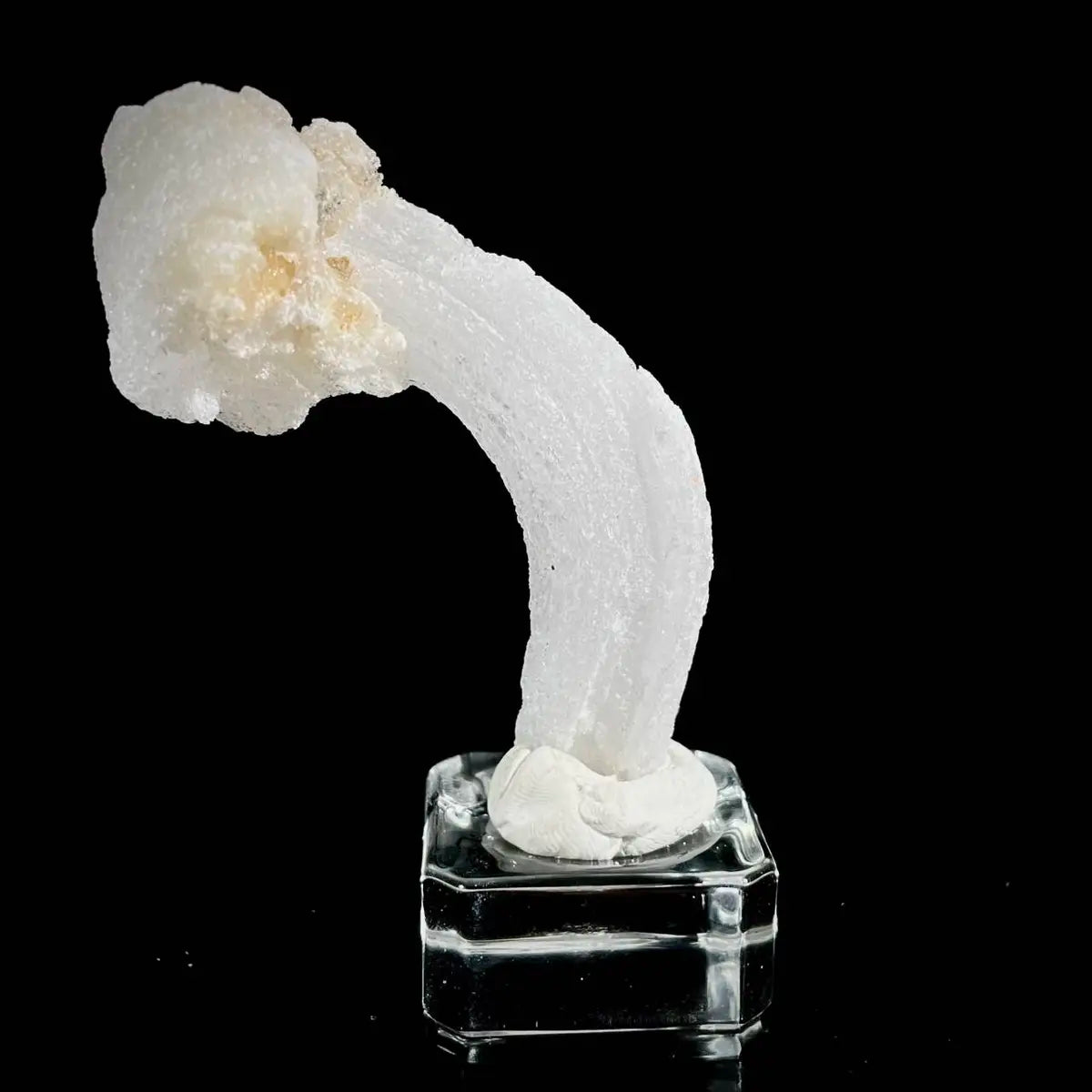Natural Ram’s Horn Selenite Specimen | Guizhou, China | 60 g | 8.5*2.5*1.5 cm | Sulfate Minerals