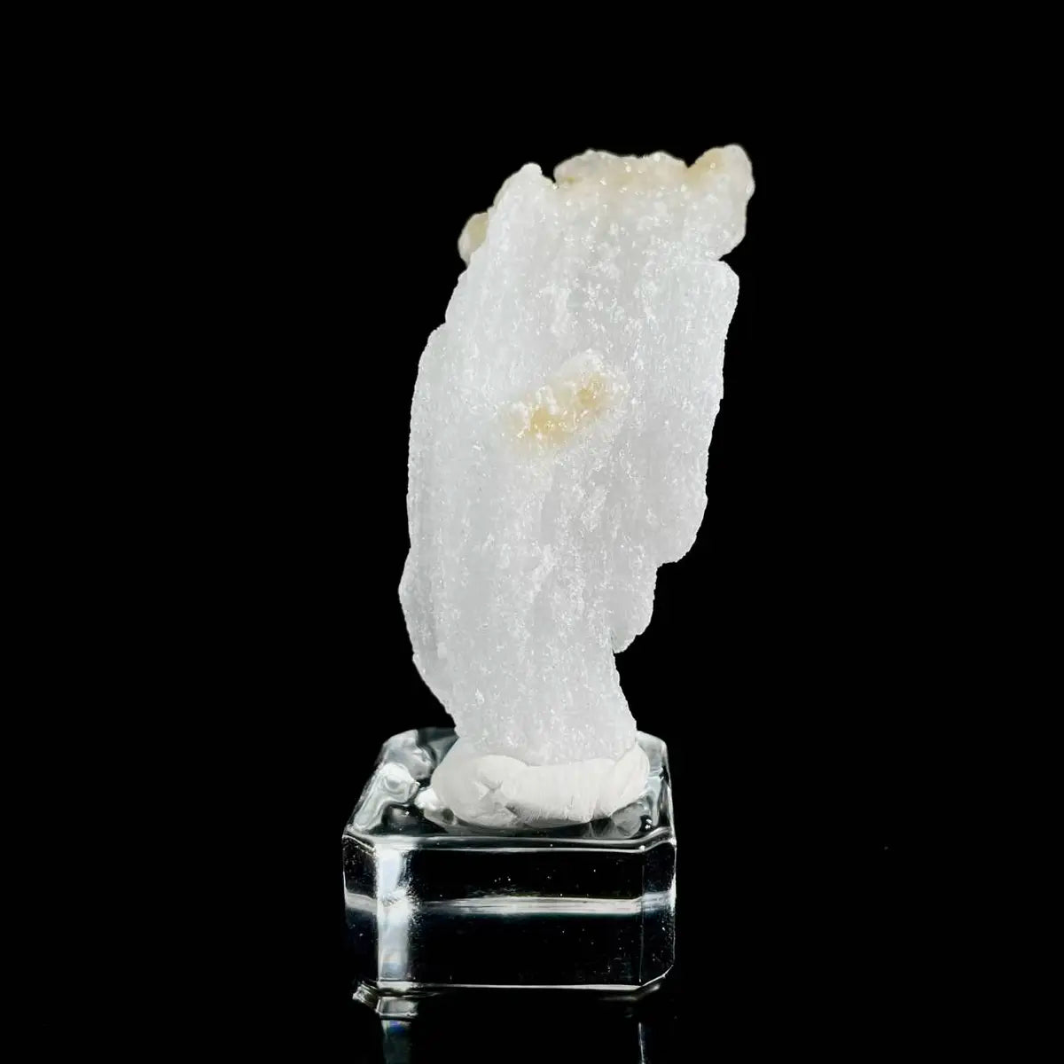 Natural Ram’s Horn Selenite Specimen | Guizhou, China | 60 g | 8.5*3*2 cm | Sulfate Minerals