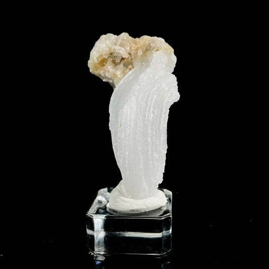 Natural Ram’s Horn Selenite Specimen | Guizhou, China | 60 g | 8.5*2.5*1.5 cm | Sulfate Minerals